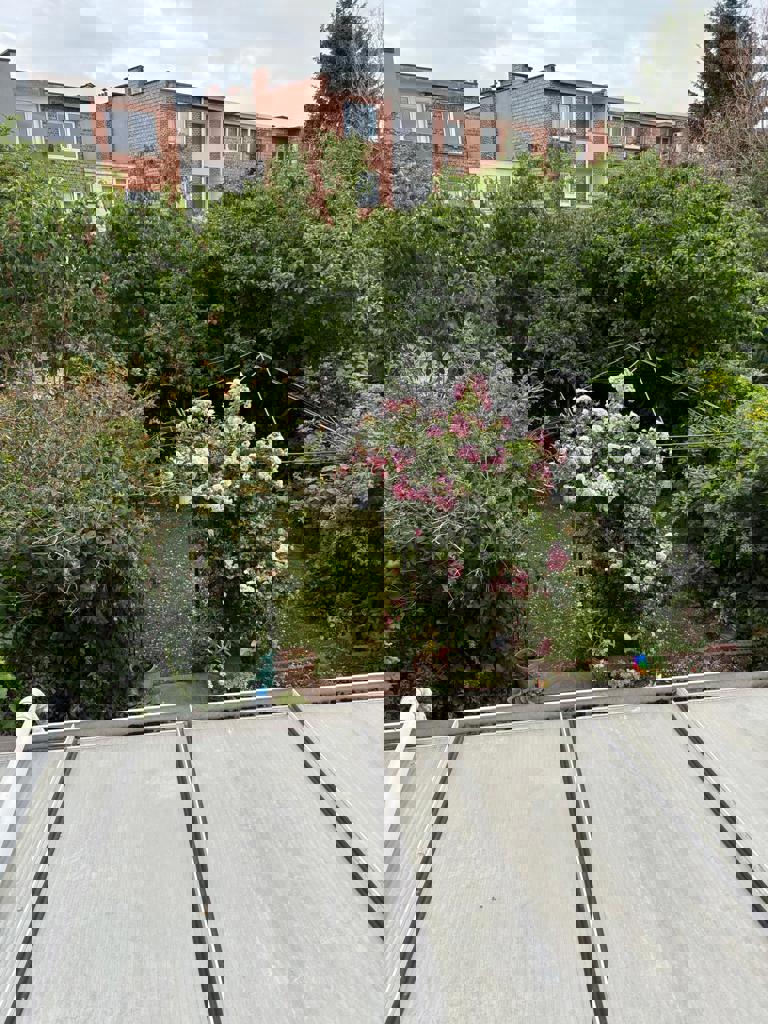 Opbrengsteigendom bestaande uit studio en duplex appartement foto 6