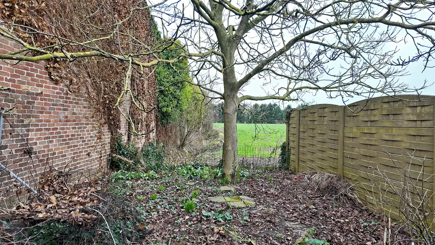 Verrassend ruime woning met 4 slaapkamers en garage foto 22