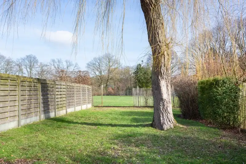 Hoofdfoto van de publicatie: Half open bebouwing met prachtig uitzicht op weilanden