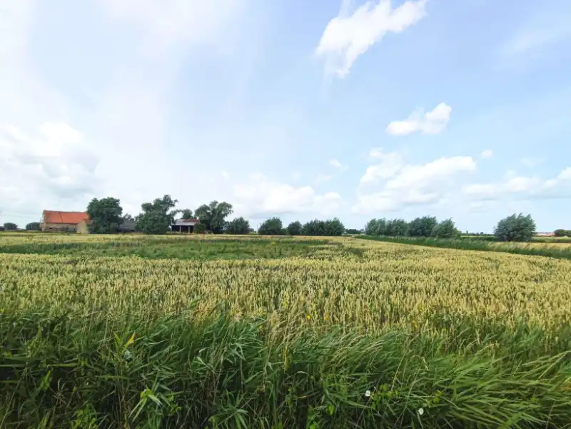 Hoeve met bijgebouwen foto 12