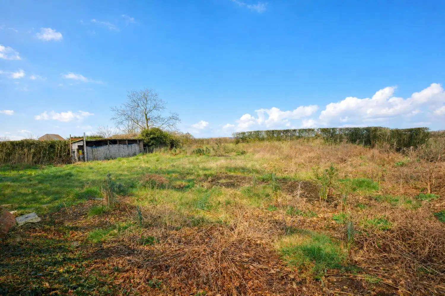 TE RENOVEREN WONING OMGEVEN DOOR AGRARISCH GEBIED! foto 20