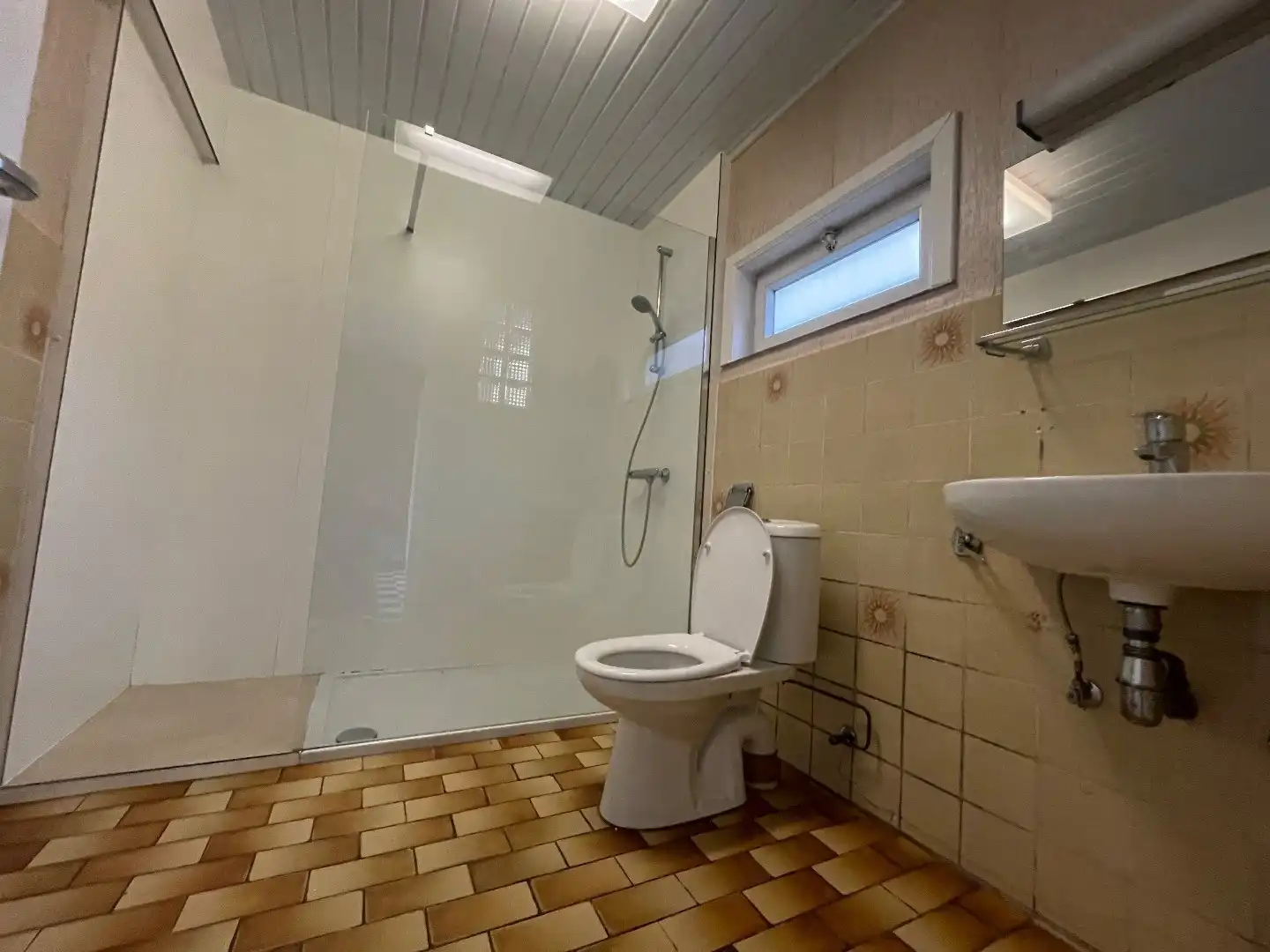 Grote woning met mogelijks vier kamers, garage en ruime tuin foto 8