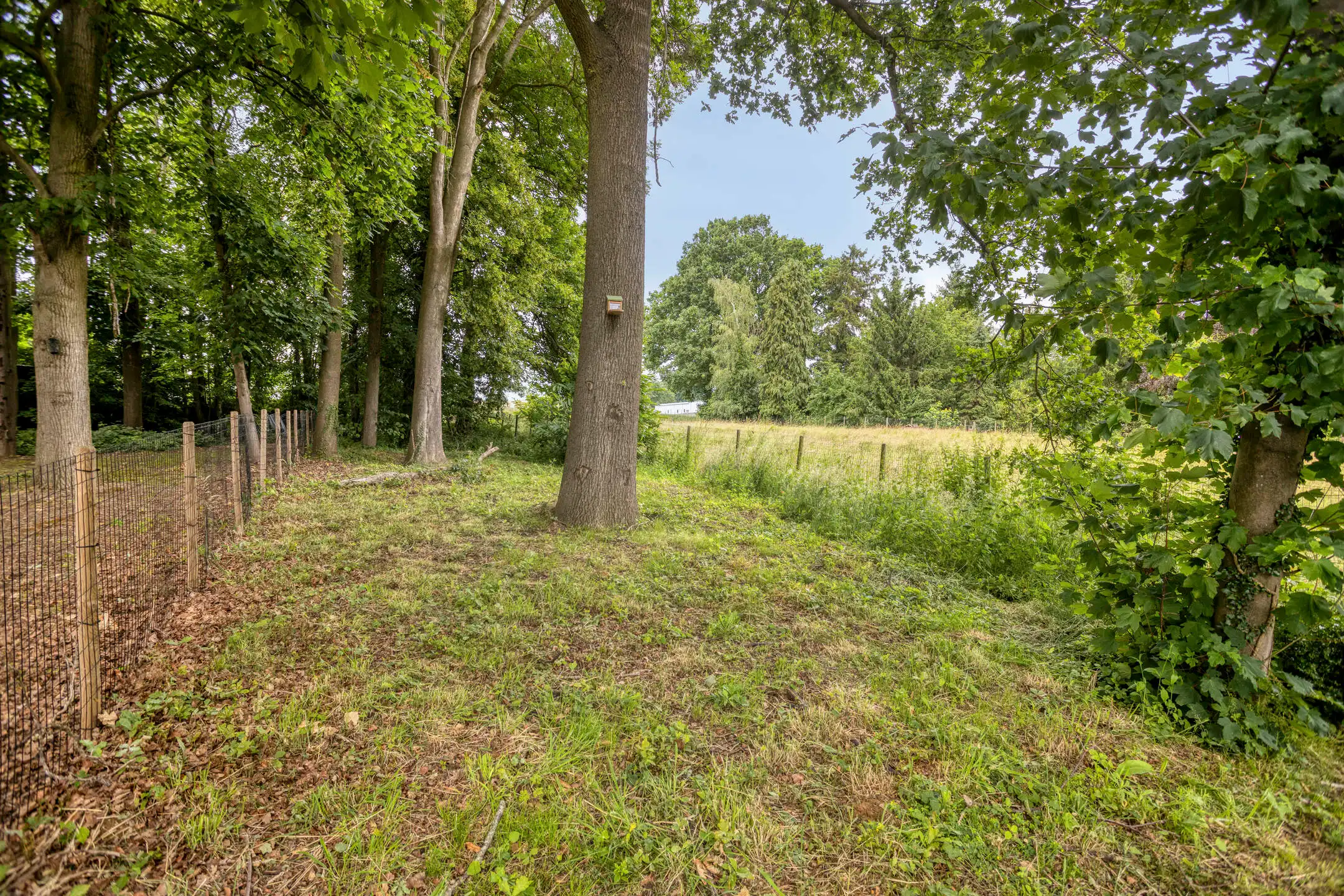 Recente BEN-woning met 4 slaapkamers op 10 are foto 28