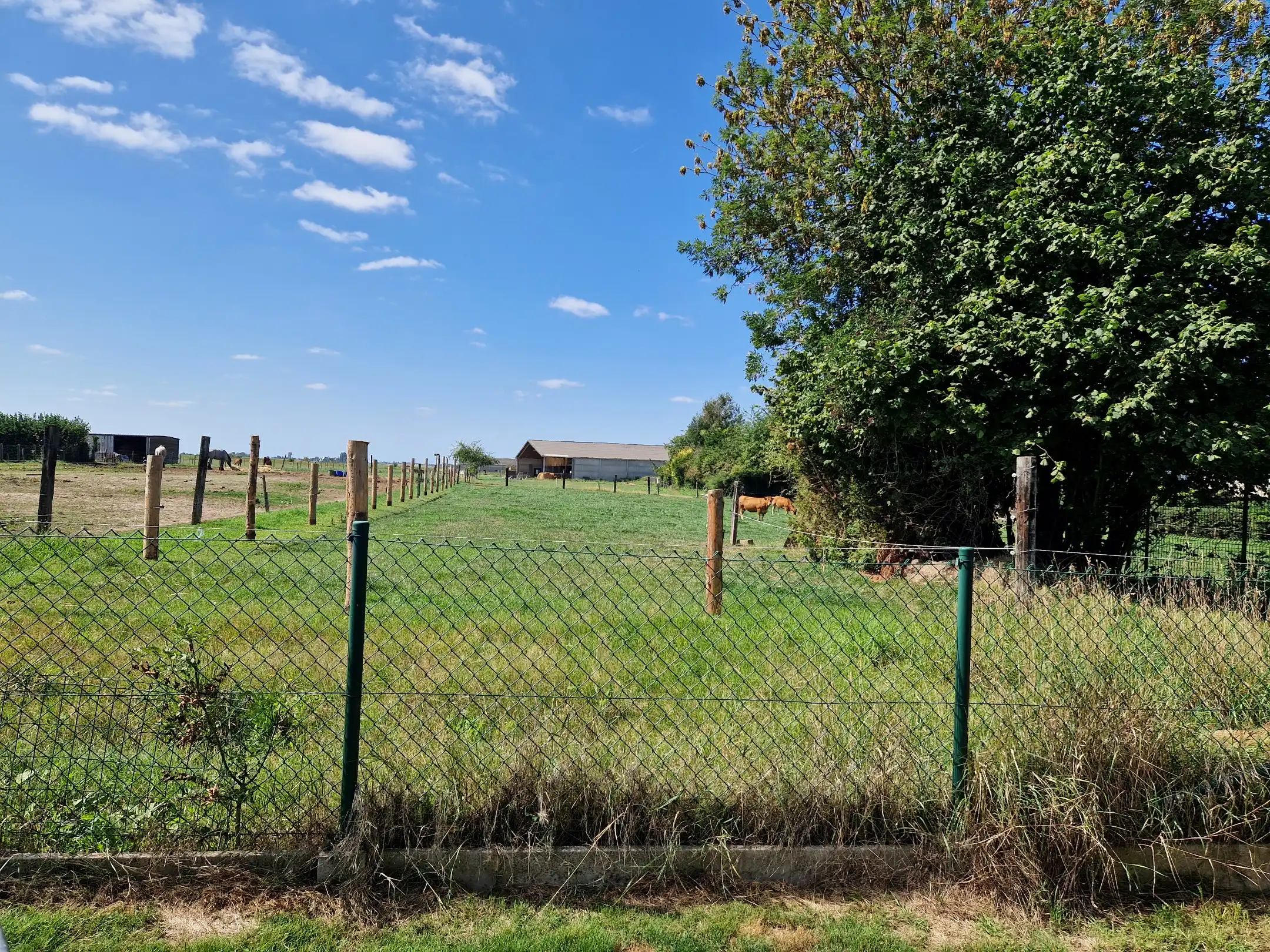 Renovatieproject...en wat voor eentje... foto 24