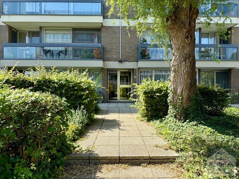 Oase in de vaart van Maastricht foto 3