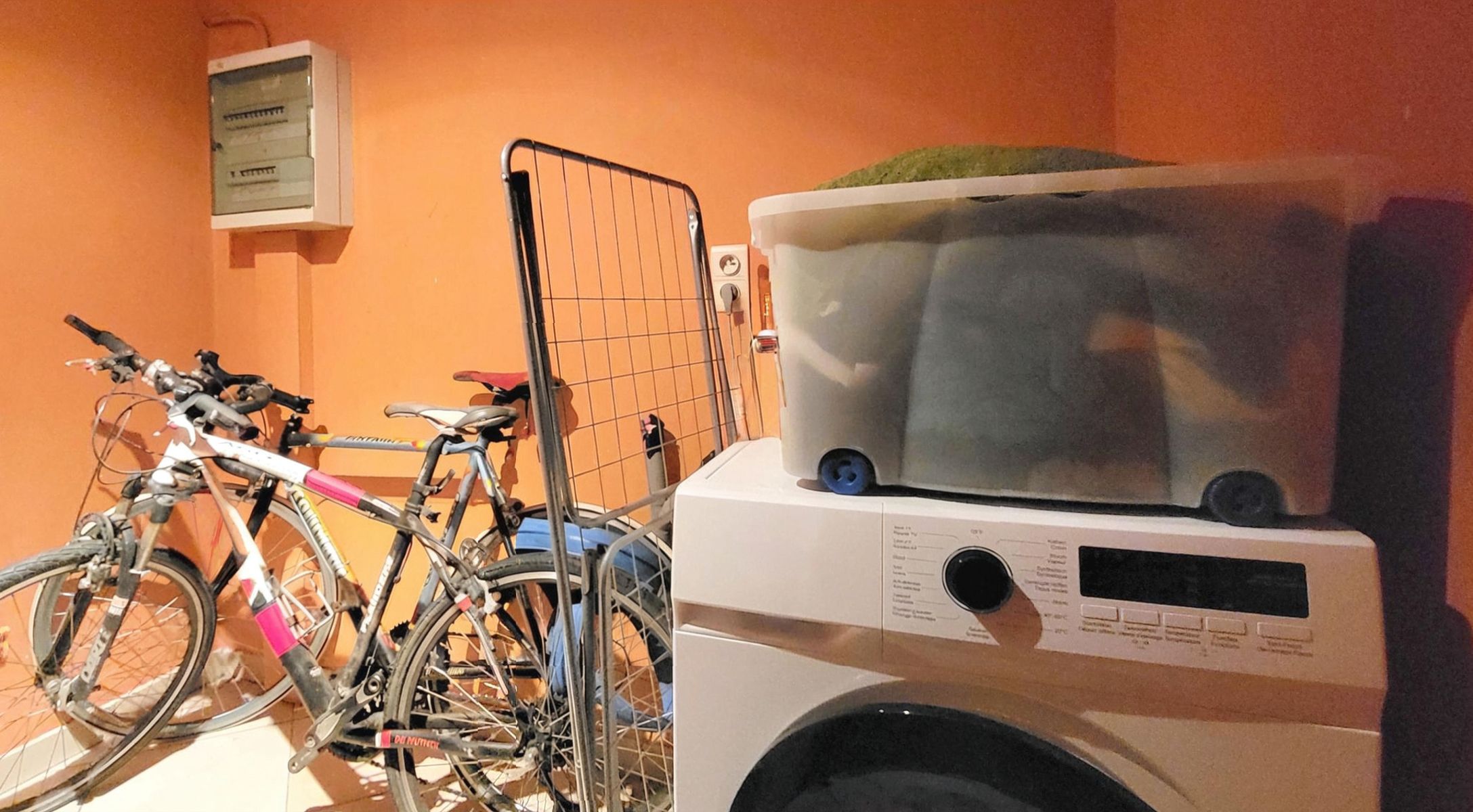 Gelijkvloers appartement met groot terras en 2 slaapkamers foto 7