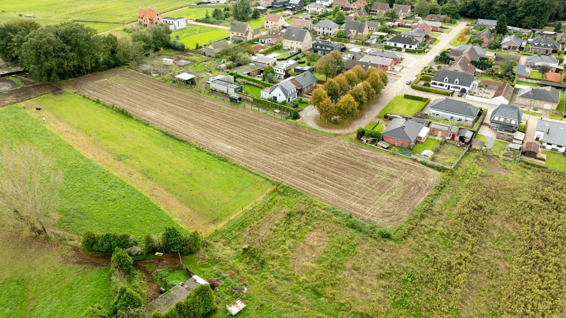 4 Nieuwe bouwgronden in Poederlee foto 5