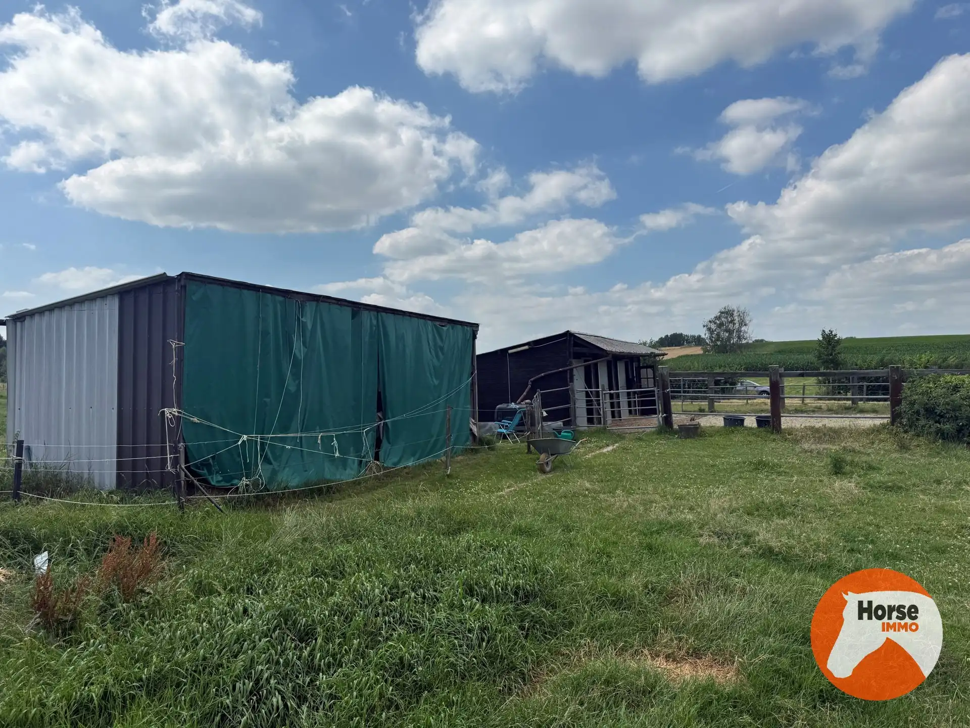 ASSE - Paardenaccommodatie op 1,07ha met 3 vergunde stallen foto 11