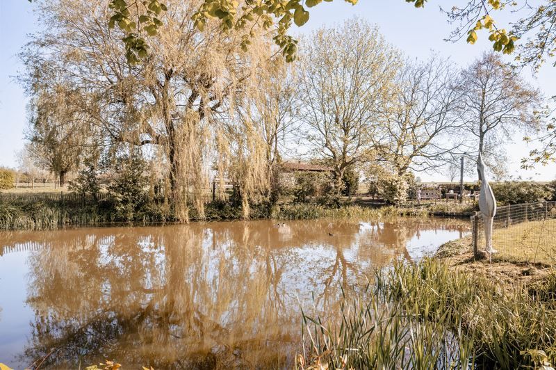 Idyllische hoeve te Hoogstade foto 7