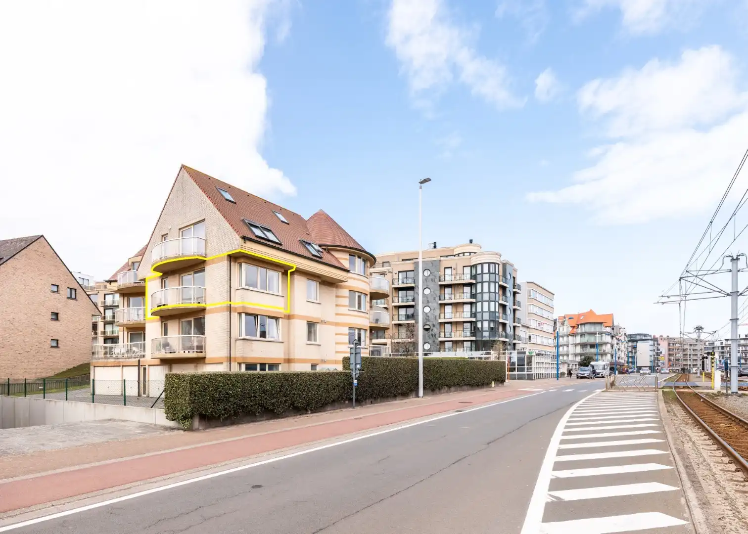 Campanula - 01.02 foto 12