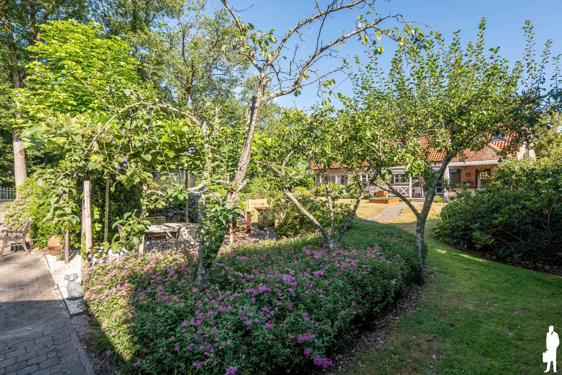 Ruime villa - natuurlijke ligging: bos & weiland; zuidtuin  foto 27