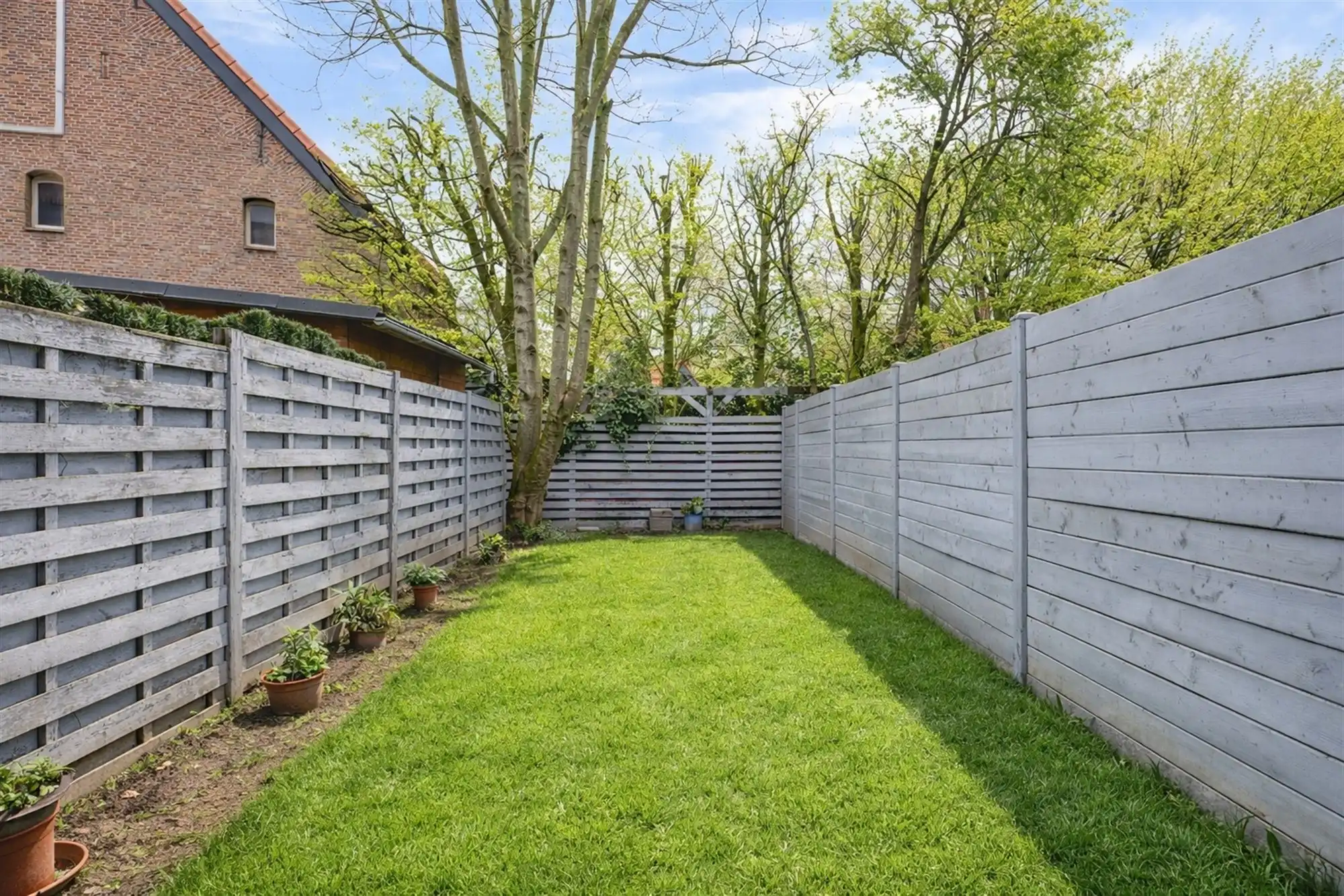 Gelijkvloerse studio met tuin (50m²) vlakbij centrum Wilrijk foto 2