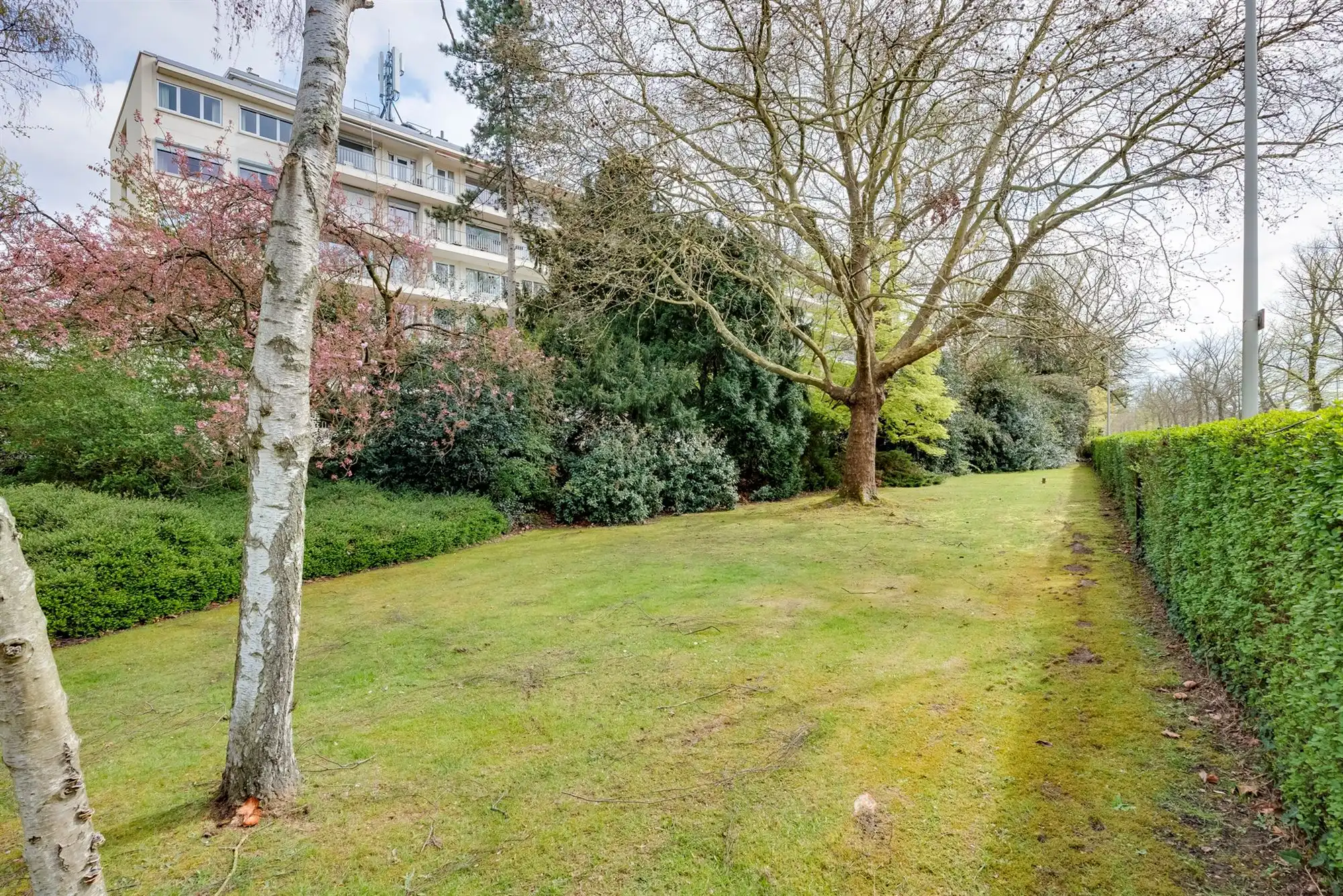 Gerenoveerd 1-slaapappartement met terras te Edegem foto 15