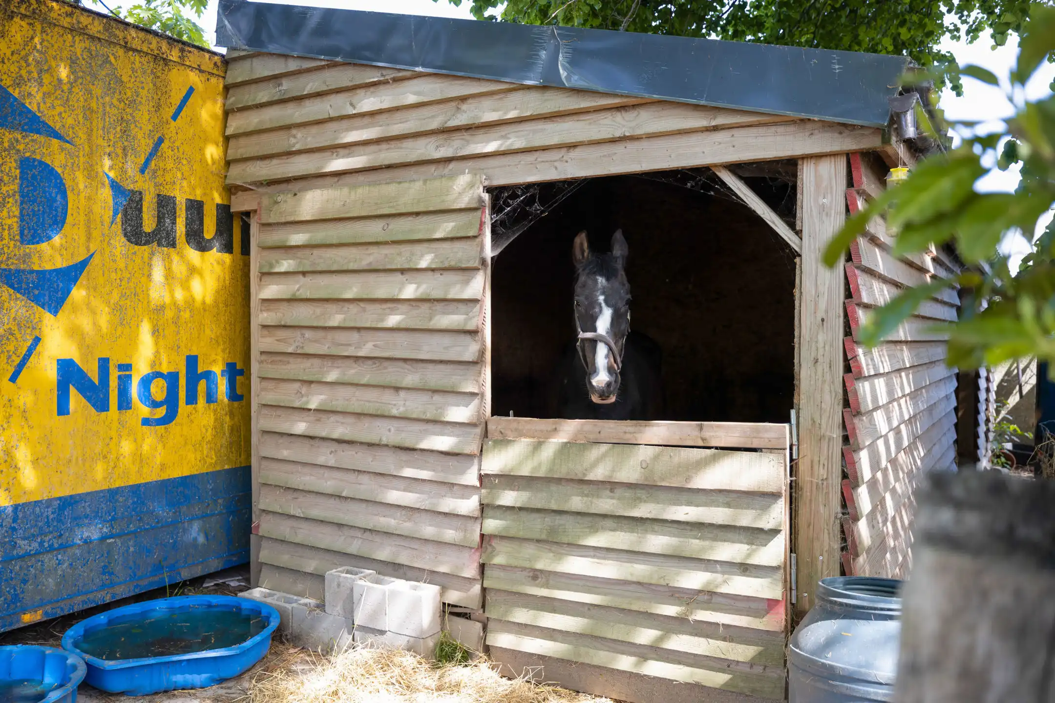 Prachtige villa 5 slpk te midden van de velden op +/- 50a foto 41