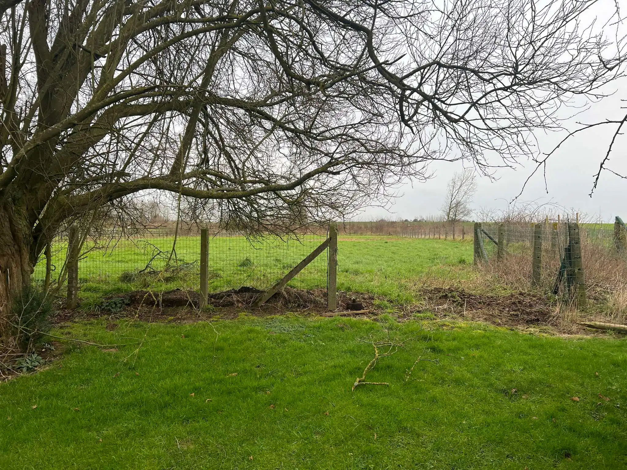 Prachtige bouwgrond voor OB op een perceel 21are 11ca foto 5