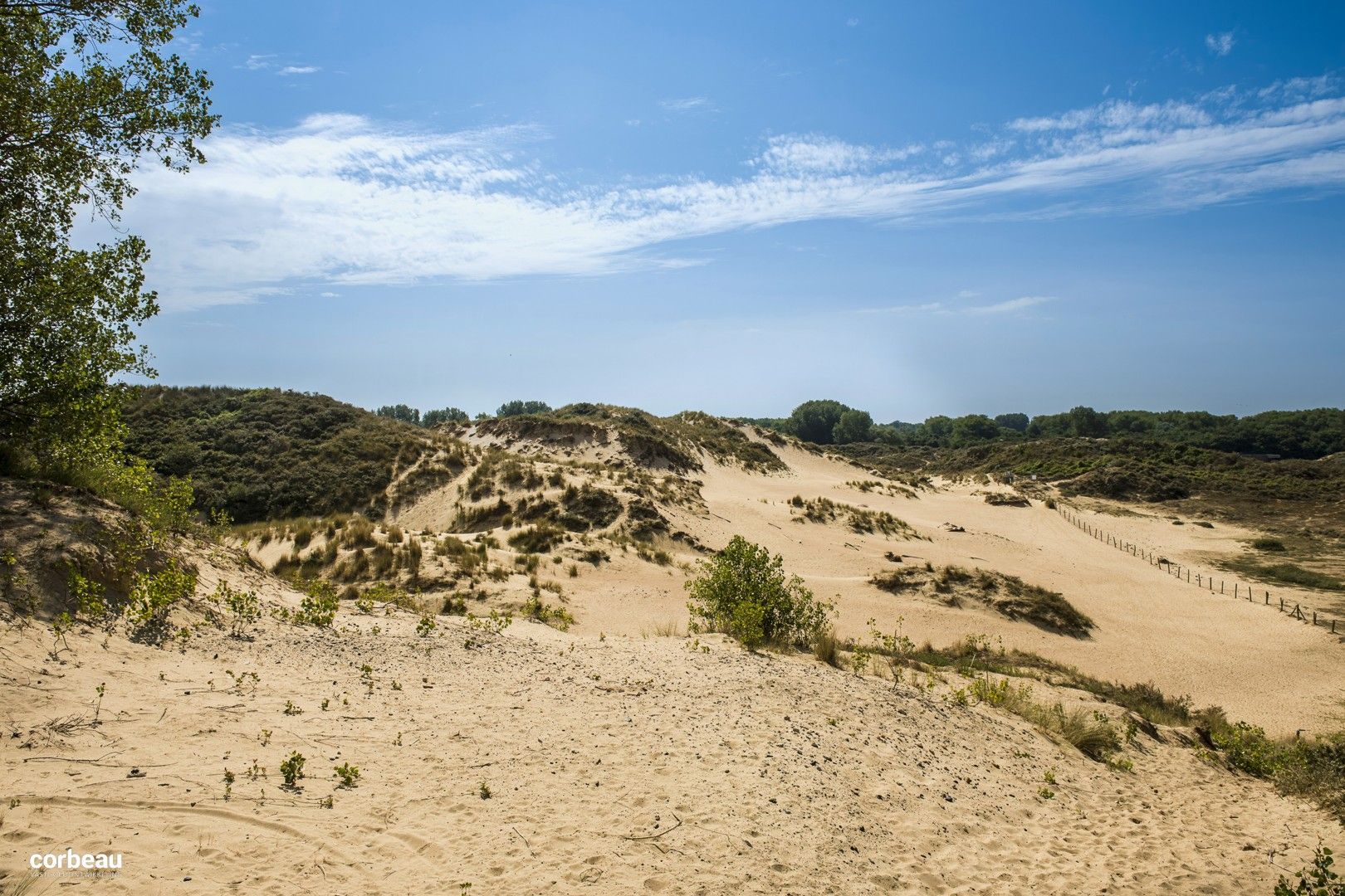 14 appartementen op een zucht van het natuurgebied de Hoge Blekker foto 6