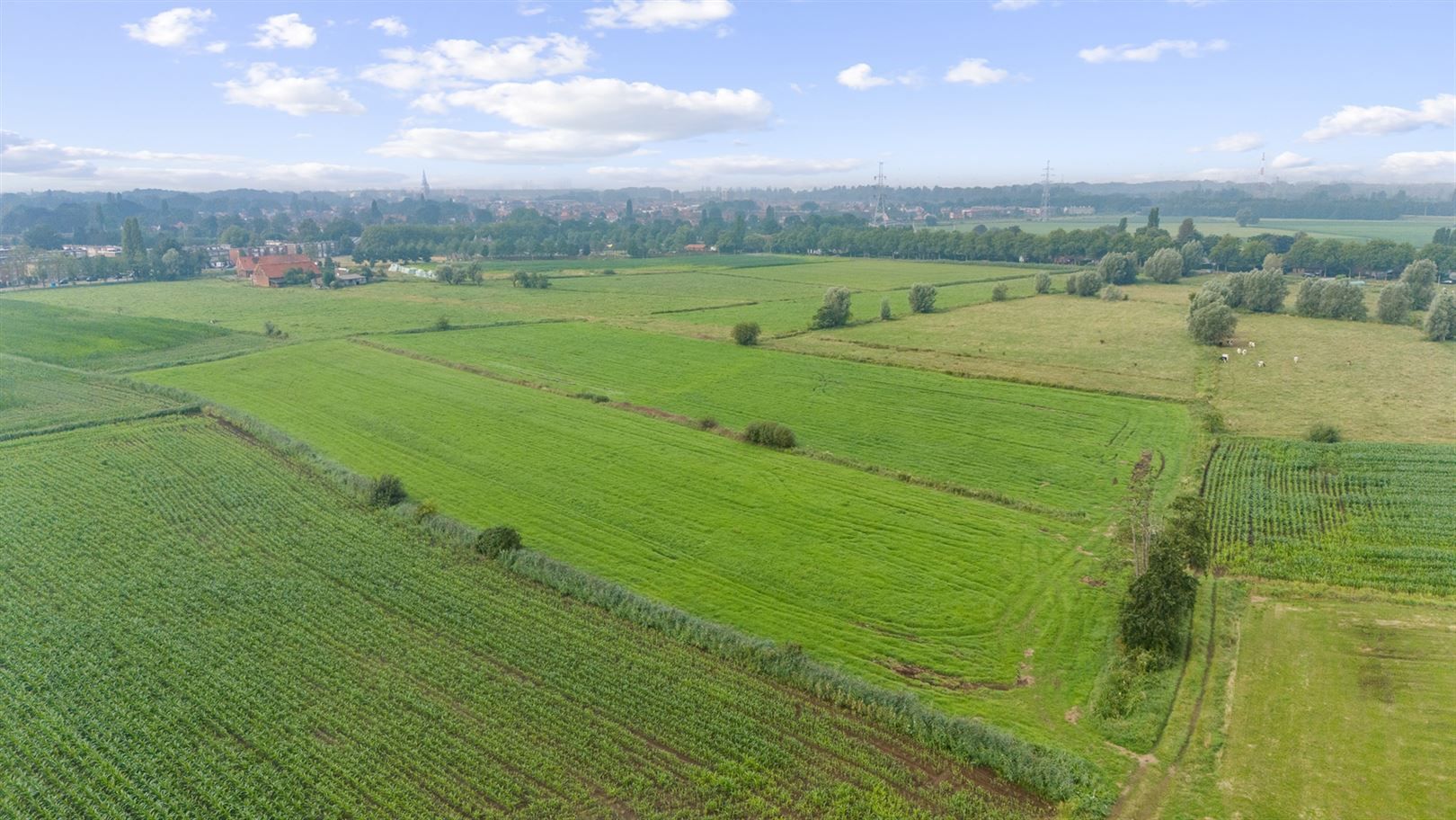 Boerderij met iets meer dan 38ha grond foto 11