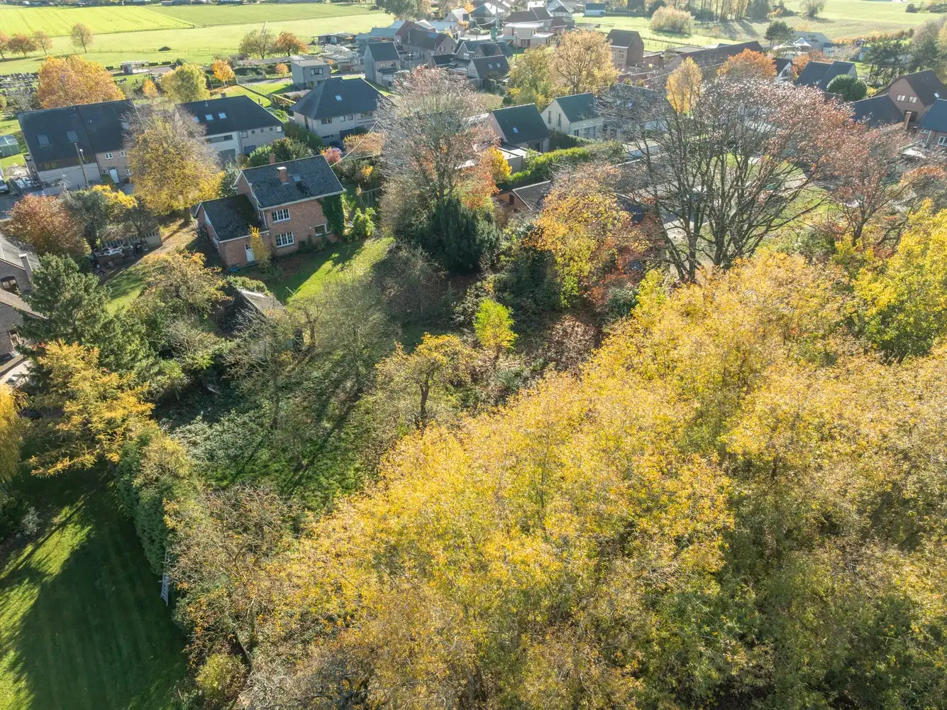 Te renoveren villa met 5 slpkrs op een perceel van 3908 m² te Meise foto 29