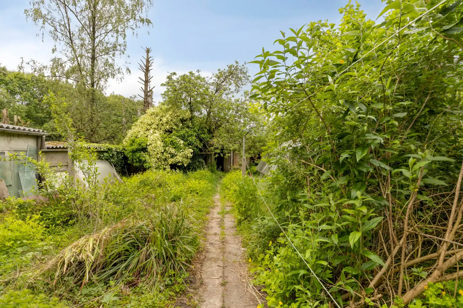 Te renoveren woning, rustig gelegen op een zonnig perceel van 767 m² te Olen-Centrum ! foto 31