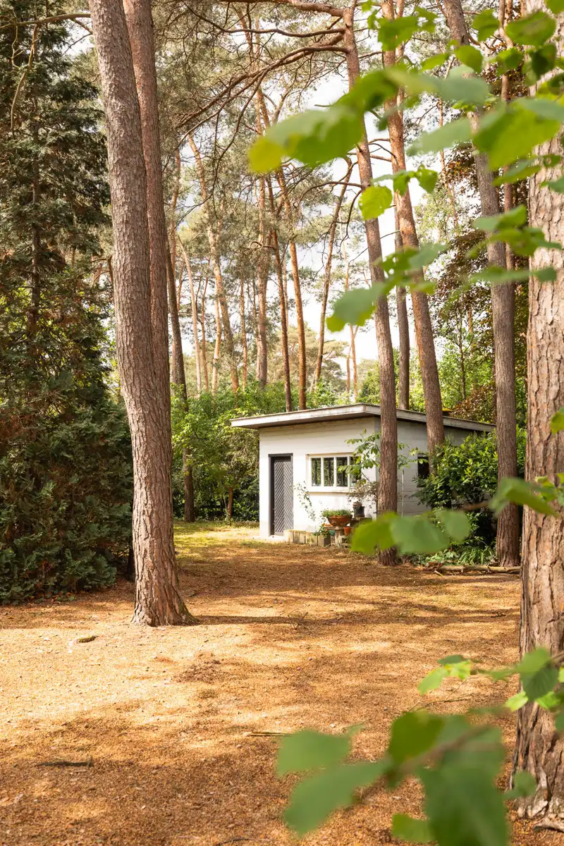 Te renoveren open laagbouwwoning op 2.497 m² te Tremelo foto 25