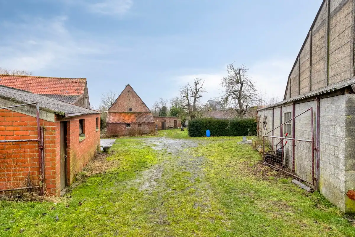 Prachtige te renoveren hoeve op meer dan 2 hectare! foto 9