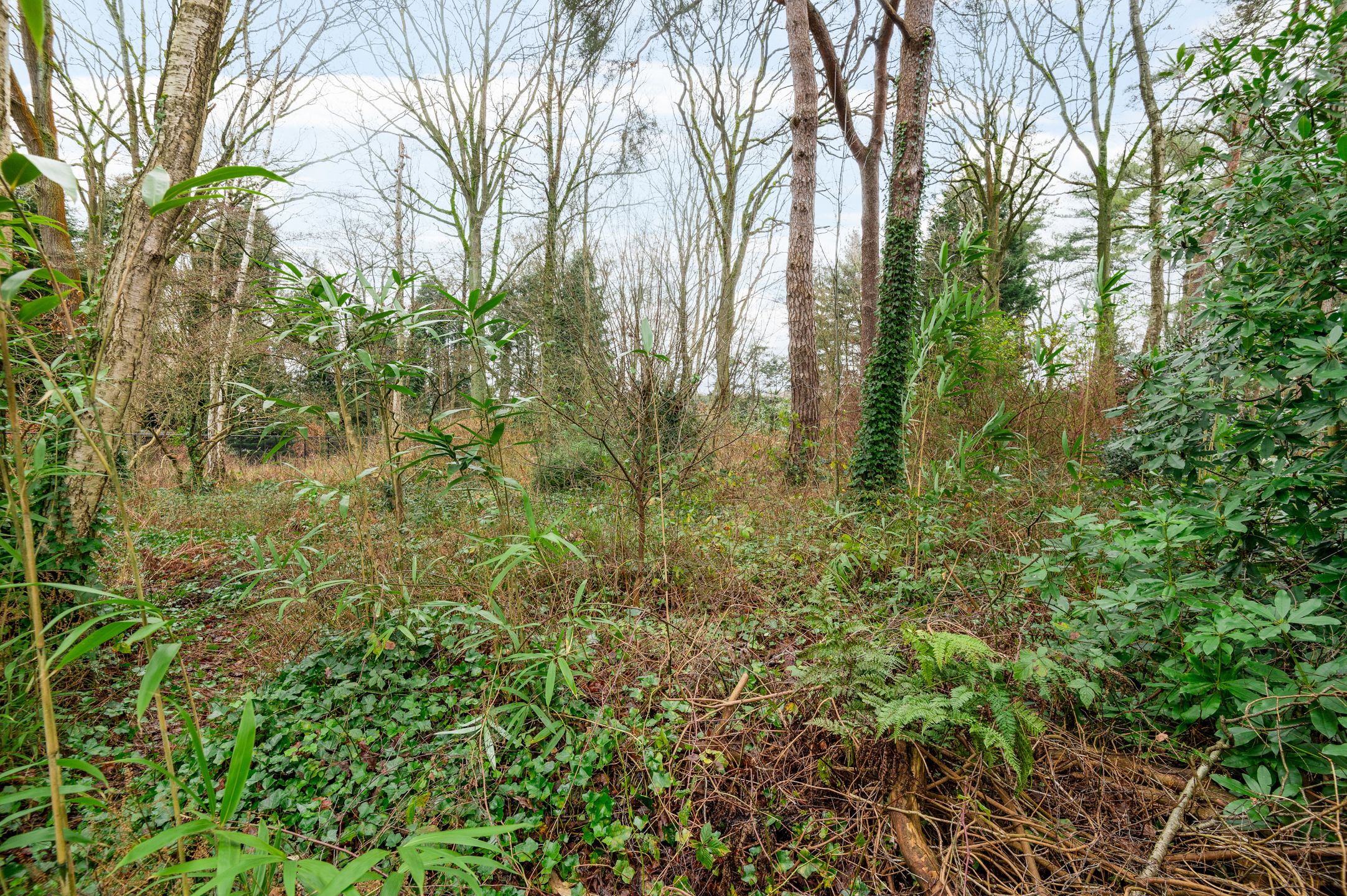 Mooi gelegen bouwgrond op 2.404 m² in een rustig gelegen gegeerde omgeving aan het einde van een doodlopende straat. foto 9