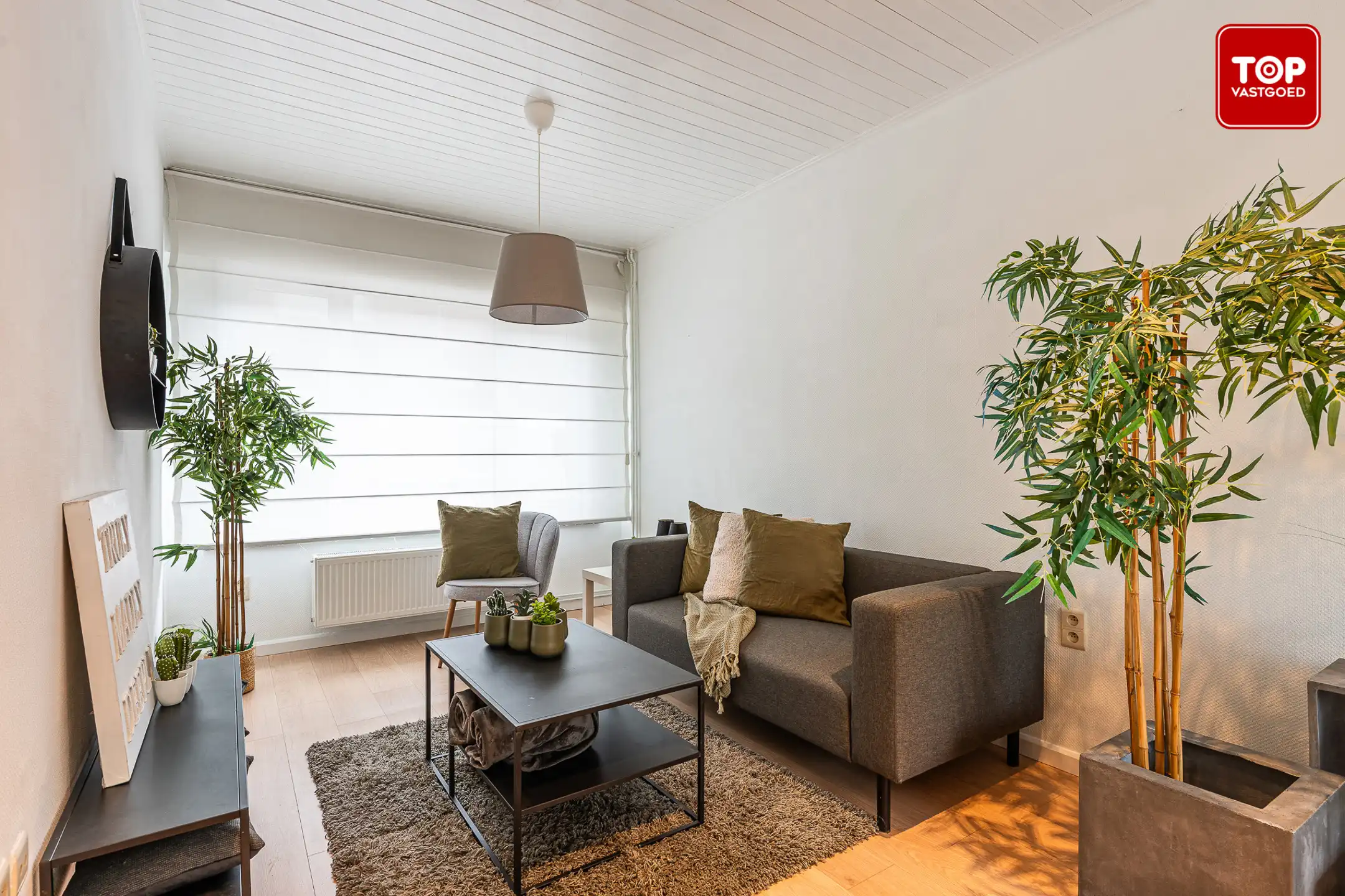 Instapklare woning met 3 slaapkamers, garage en zonnige tuin foto 4
