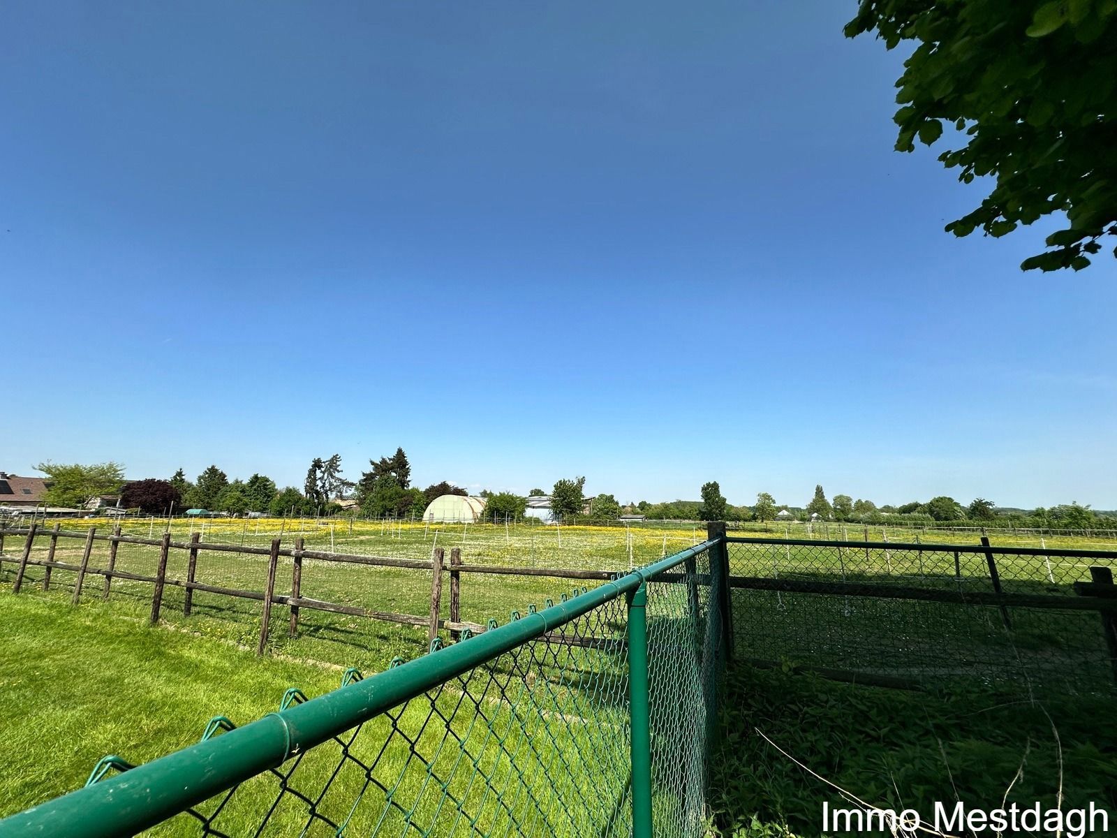 Ruime woning en tuinberging met potentieel in het landelijke Geetbets. foto 11