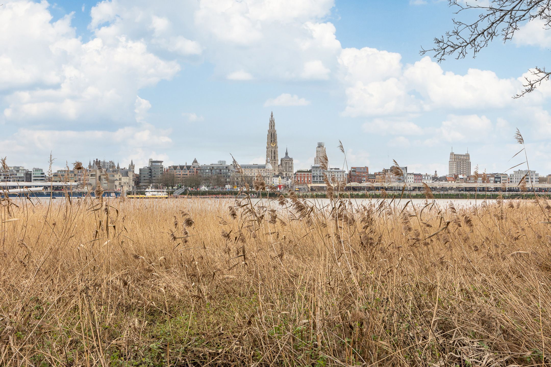 ANTWERPEN -  Royaal appartement met uitzicht over de Schelde foto {{pictureIndex}}