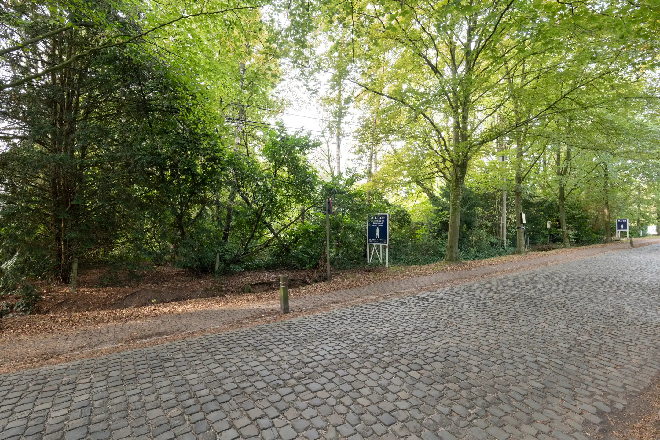 Perceel bouwgrond van 4.450 m² met perfecte zuidoriëntatie foto 3