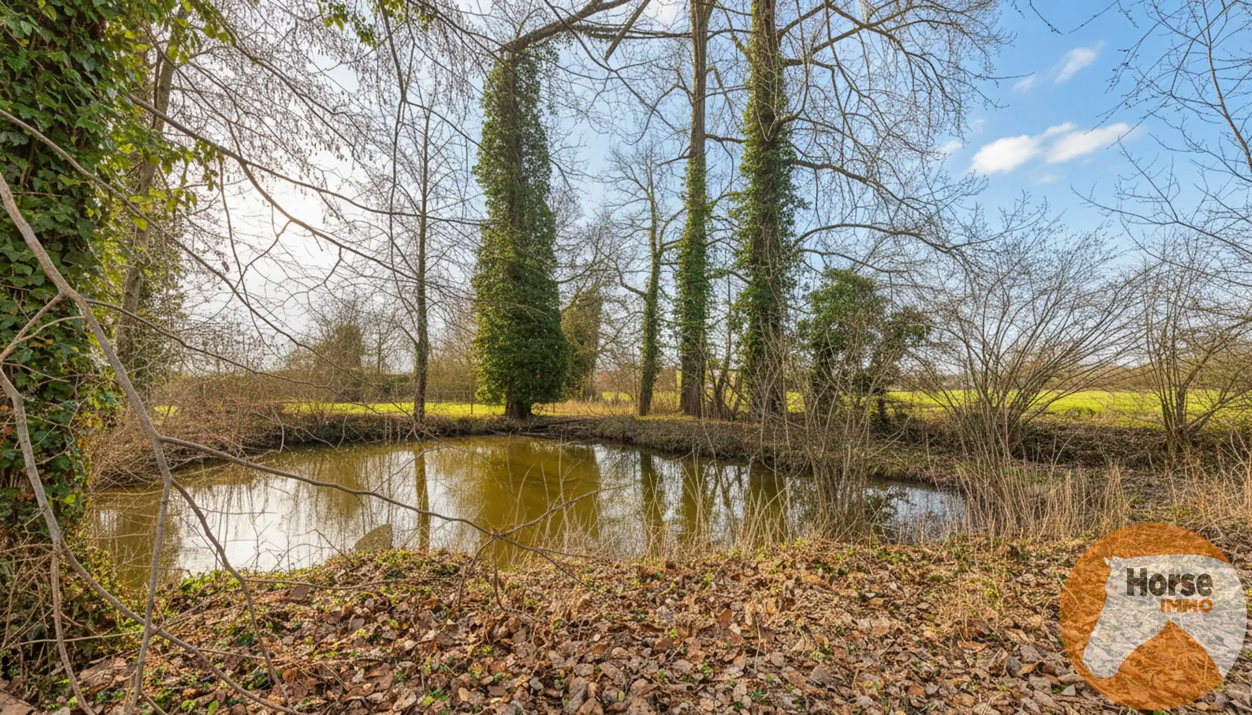 LEDE – Ruime villa met karakter op een ruim perceel  foto 28