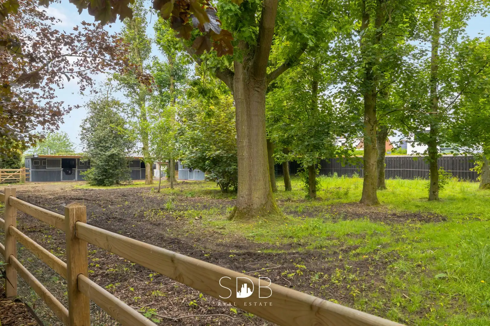 Prachtige villa met zwembad, paardenstallen, paddock en grasland op 1,3HA foto 36