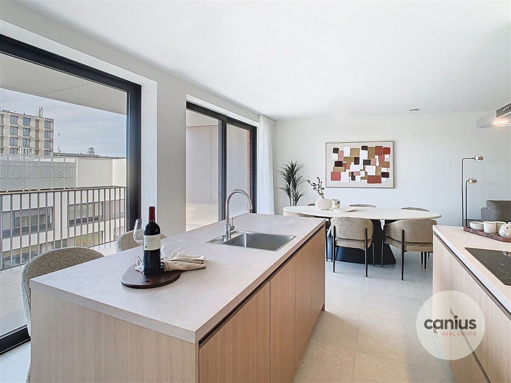 RUIM APP. MET 3 SLPKS EN TERRAS foto 7