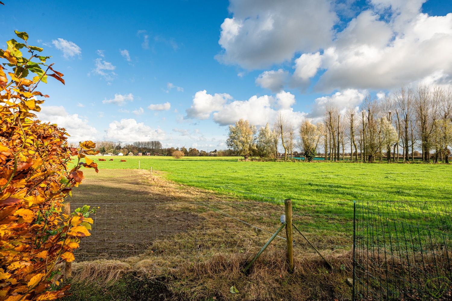 Ruime gezinswoning met prachtige tuin te Adegem foto 21