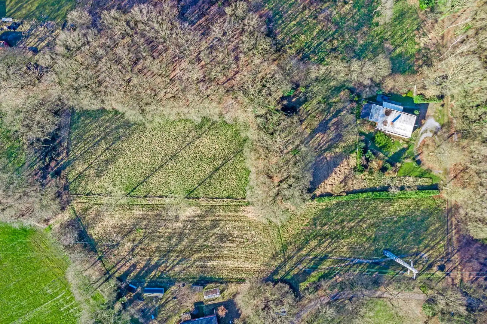Unieke woonst op 13 hectare: rust, natuur en eindeloze mogelijkheden! foto 18