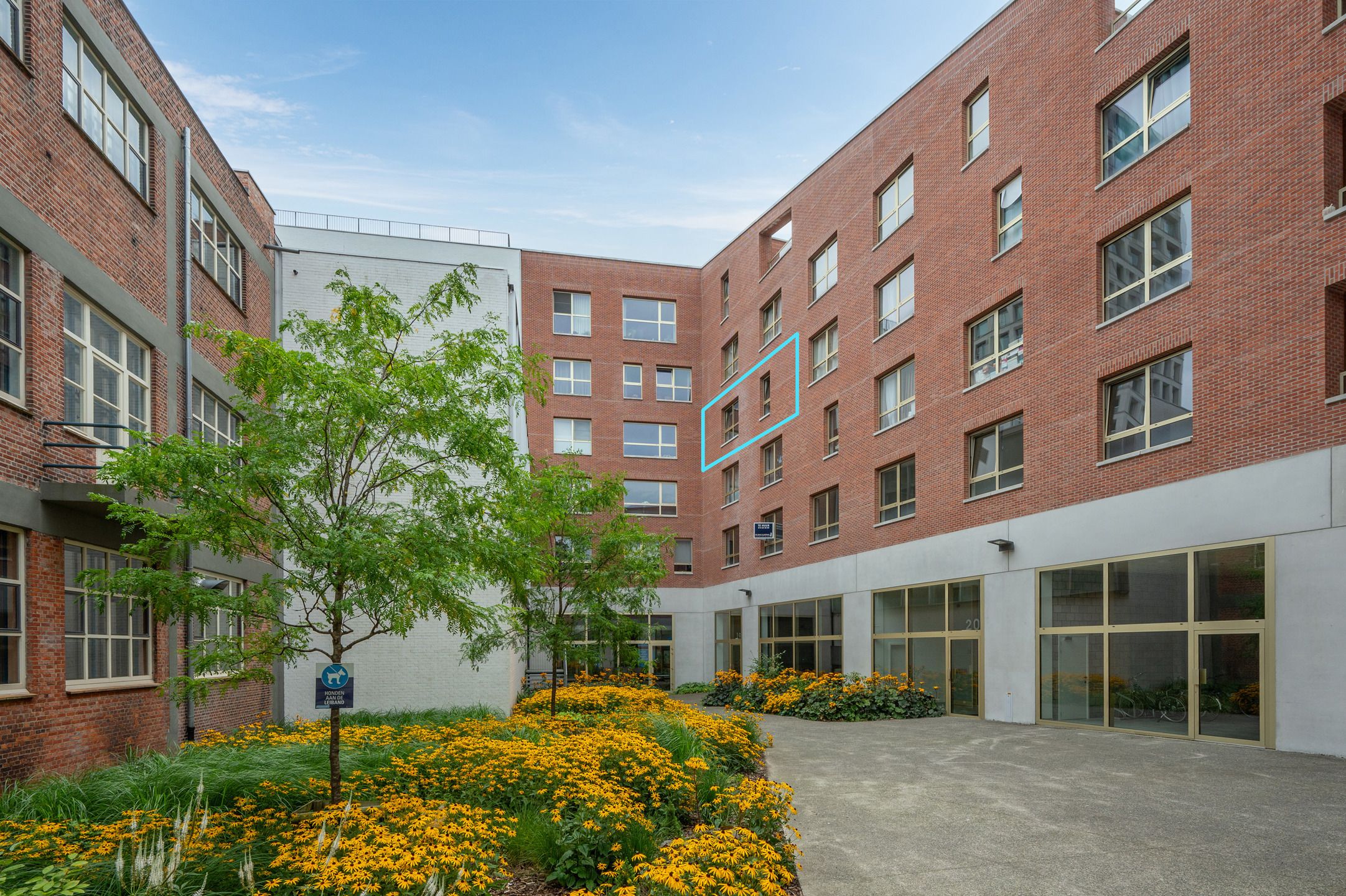 ()=>{if(producerUpdateValueVersion(node),producerAccessed(node),node.value===ERRORED)throw node.error;return node.value} Academieplein 19/9 - 2300 Turnhout
