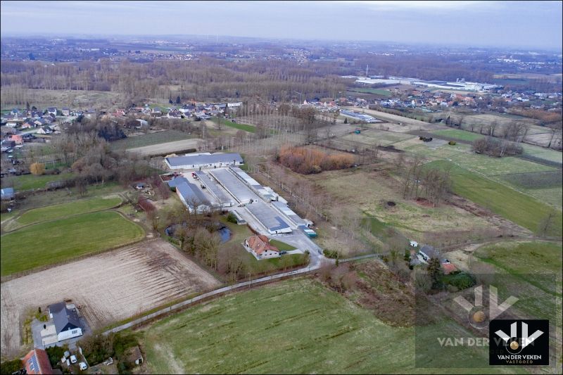 11,5 hectaren landbouwgrond foto 4
