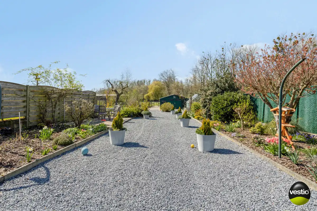 WONING OP 7A59CA MET ACHTERLIGGENDE WEILANDEN 62A53CA TE RIJKHOVEN. foto 34