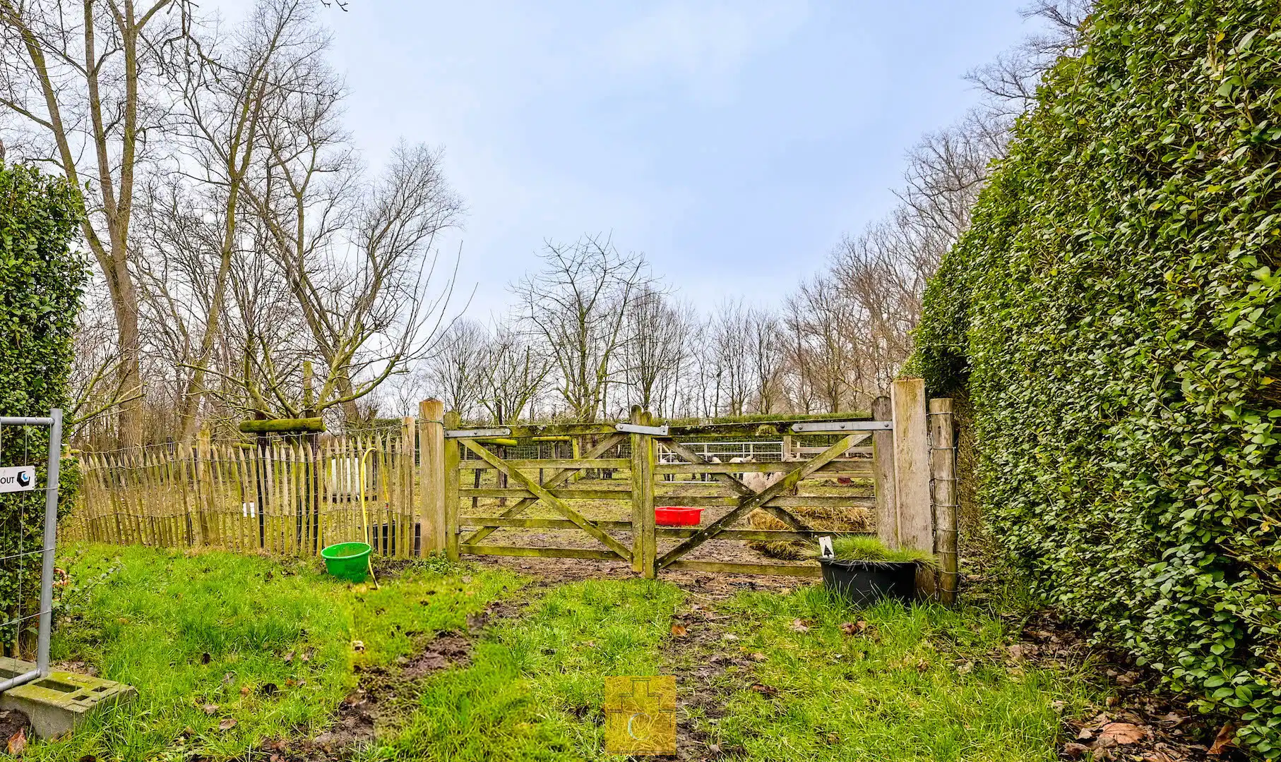 Uniek geheel van TWEE WONINGEN met bijgebouw, idyllisch gelegen aan de vaart foto 9