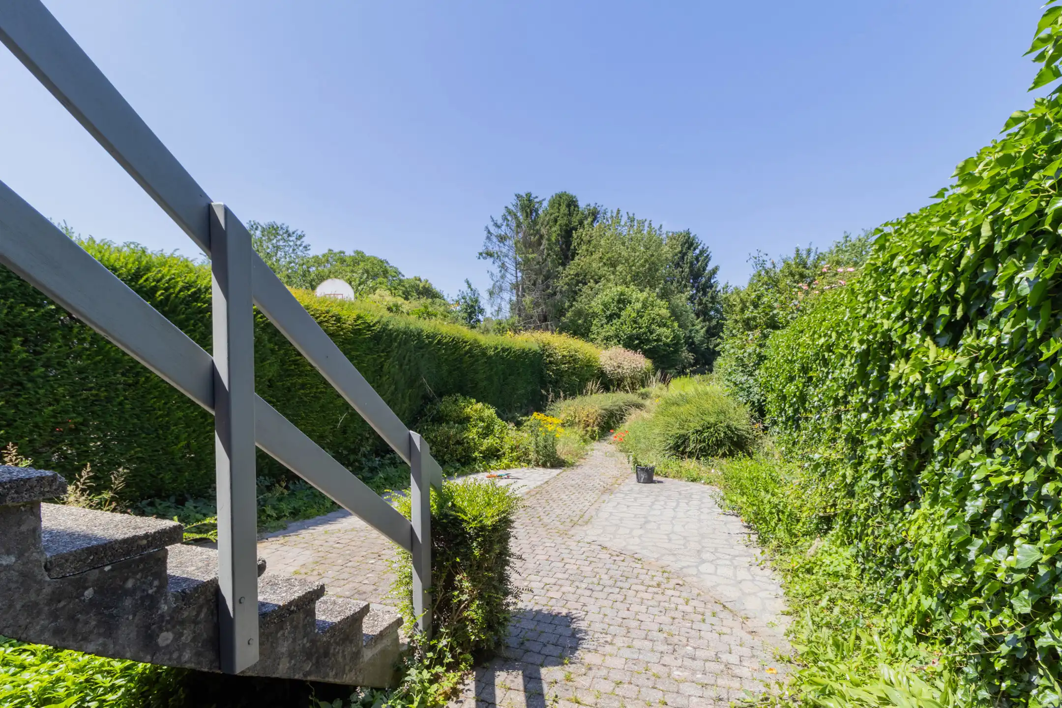 STERREBEEK: aangename woning met 3 slaapkamers  foto 12