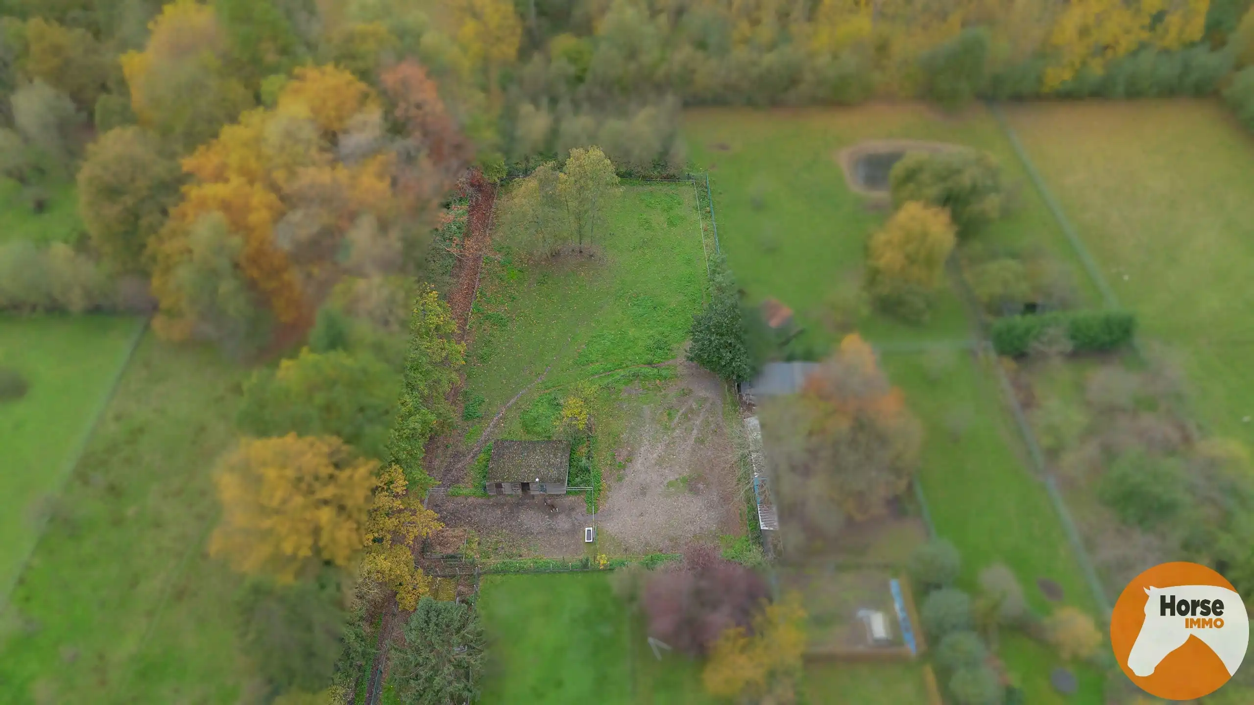 EREMBODEGEM- Ruime gezinswoning met tuin en weide  foto 39