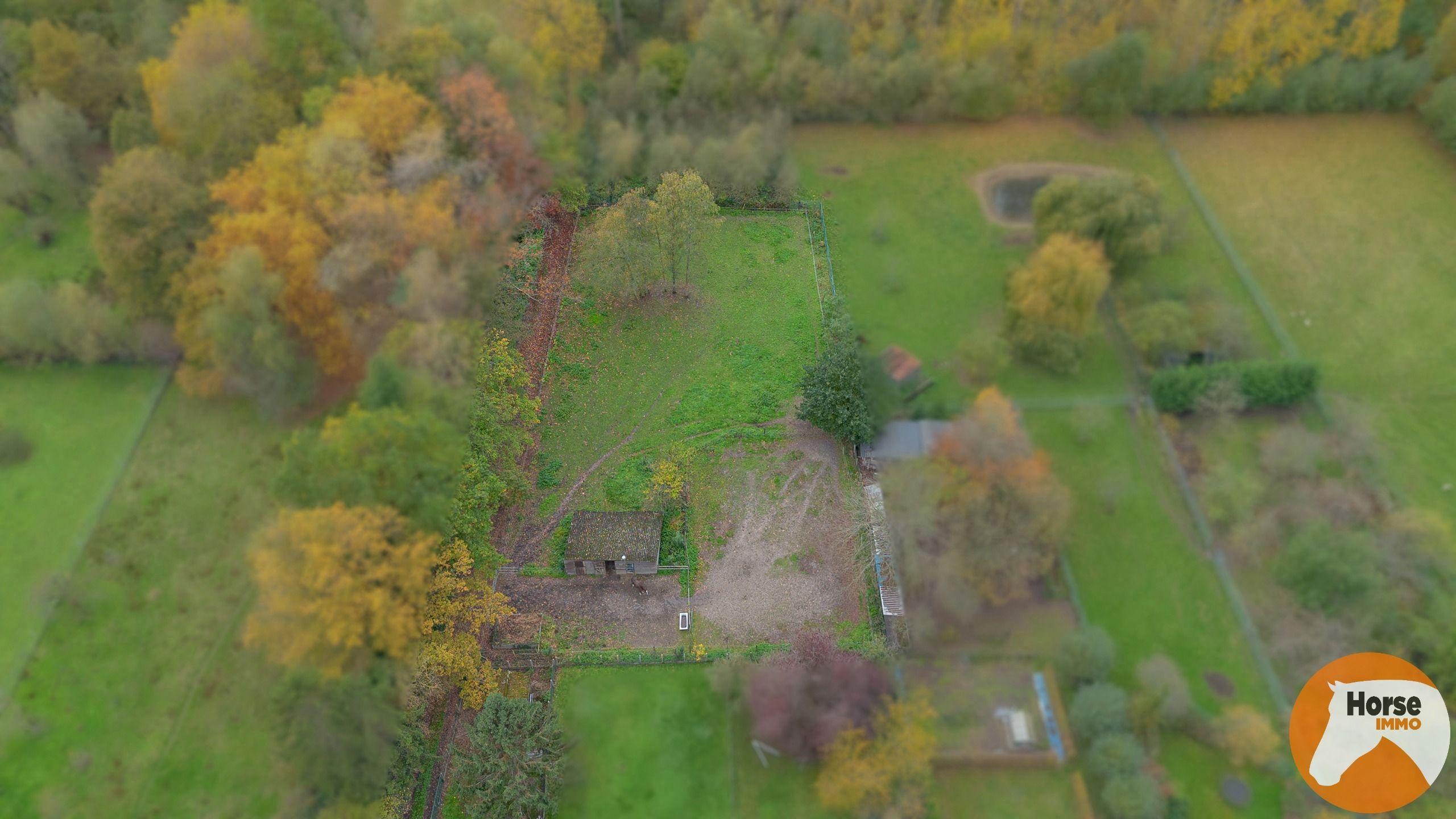 EREMBODEGEM- Ruime gezinswoning met tuin en weide  foto 39