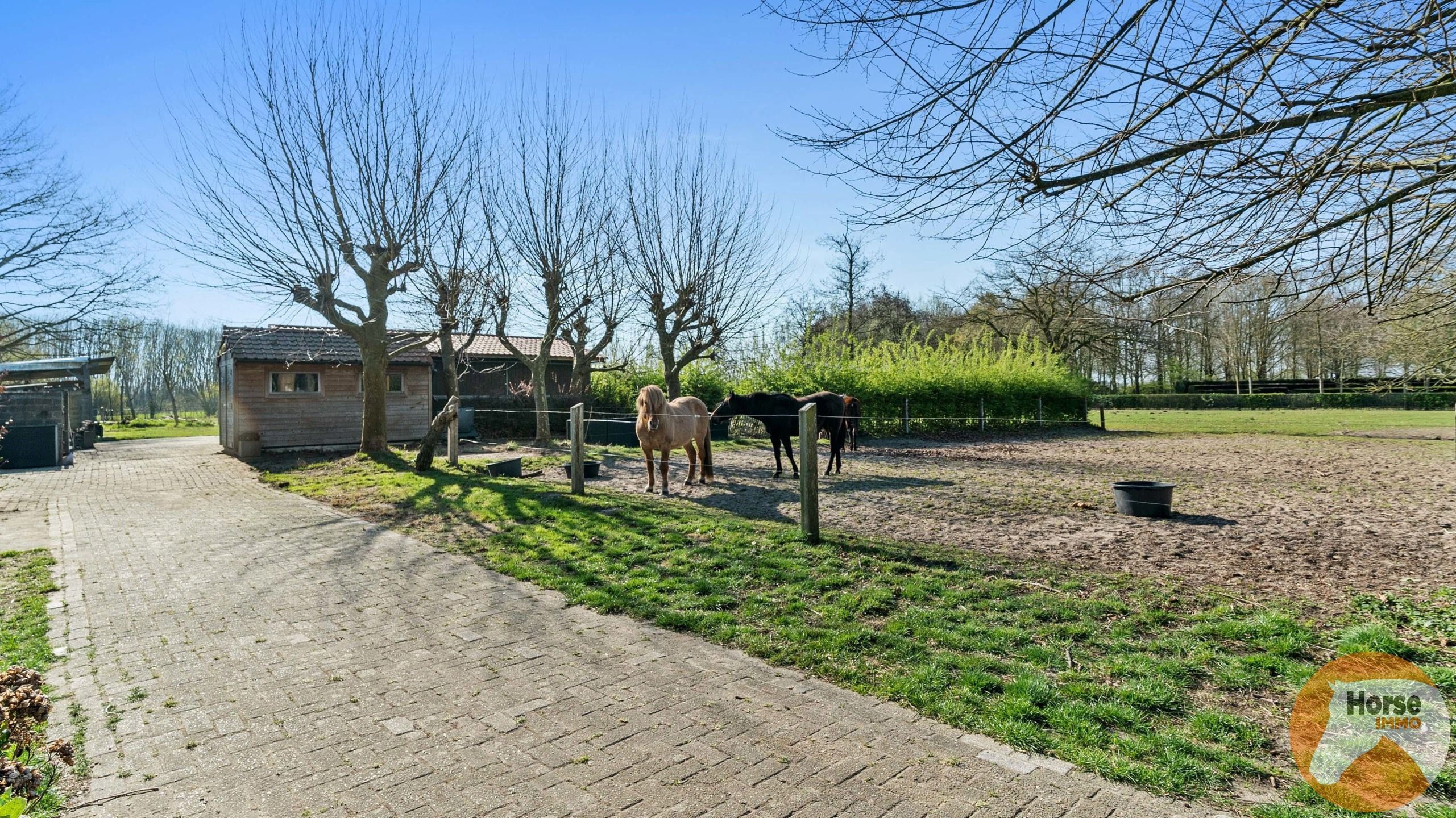 BERLARE - Instapklare woning met stallen en weides foto 8