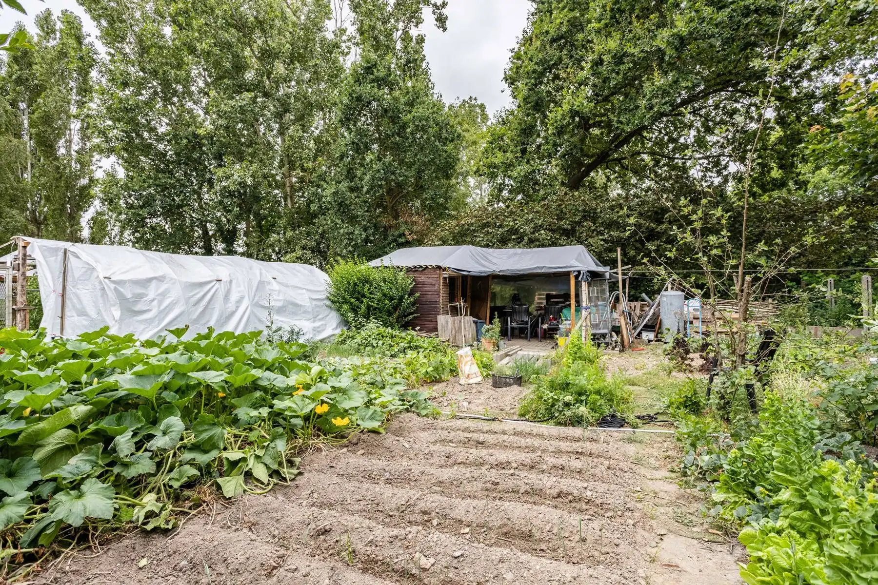 Leuke half-open bebouwing met grote tuin! foto 19