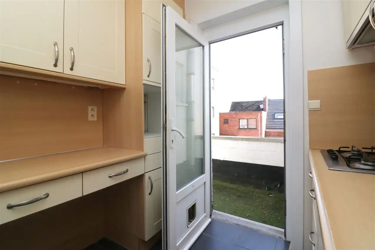 charmant, ruim, mogelijkheid beroep of kangoeroe foto 40