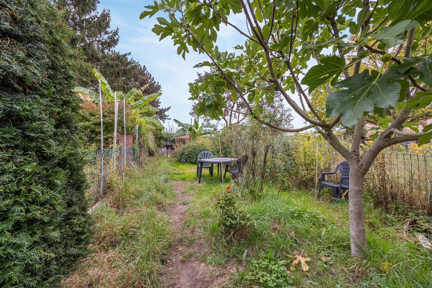 Gezellige ééngezinswoning met zuidgerichte tuin in Deurne foto 14