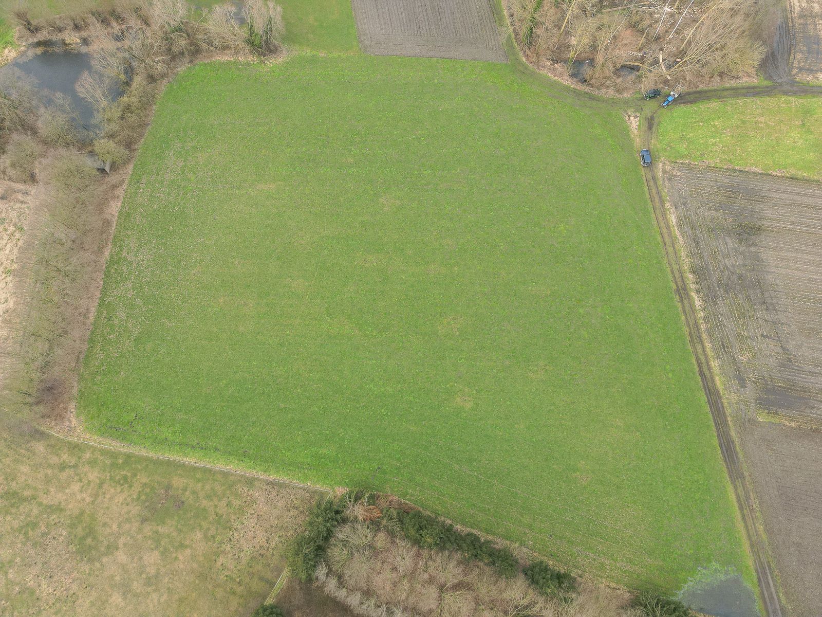 Perceel landbouwgrond van 1ha 37a 50 ca in Kapelle-op-den-Bos foto 3