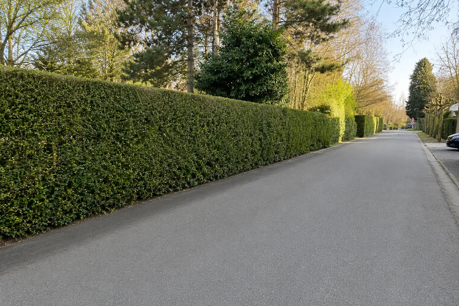 Villa op bos- en natuurdomein van 5056 m² in villawijk foto 3