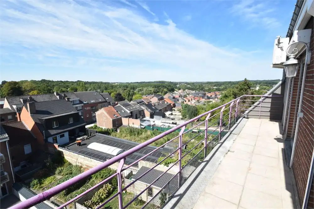 Gerenoveerd appartement aan de stadsrand foto 14