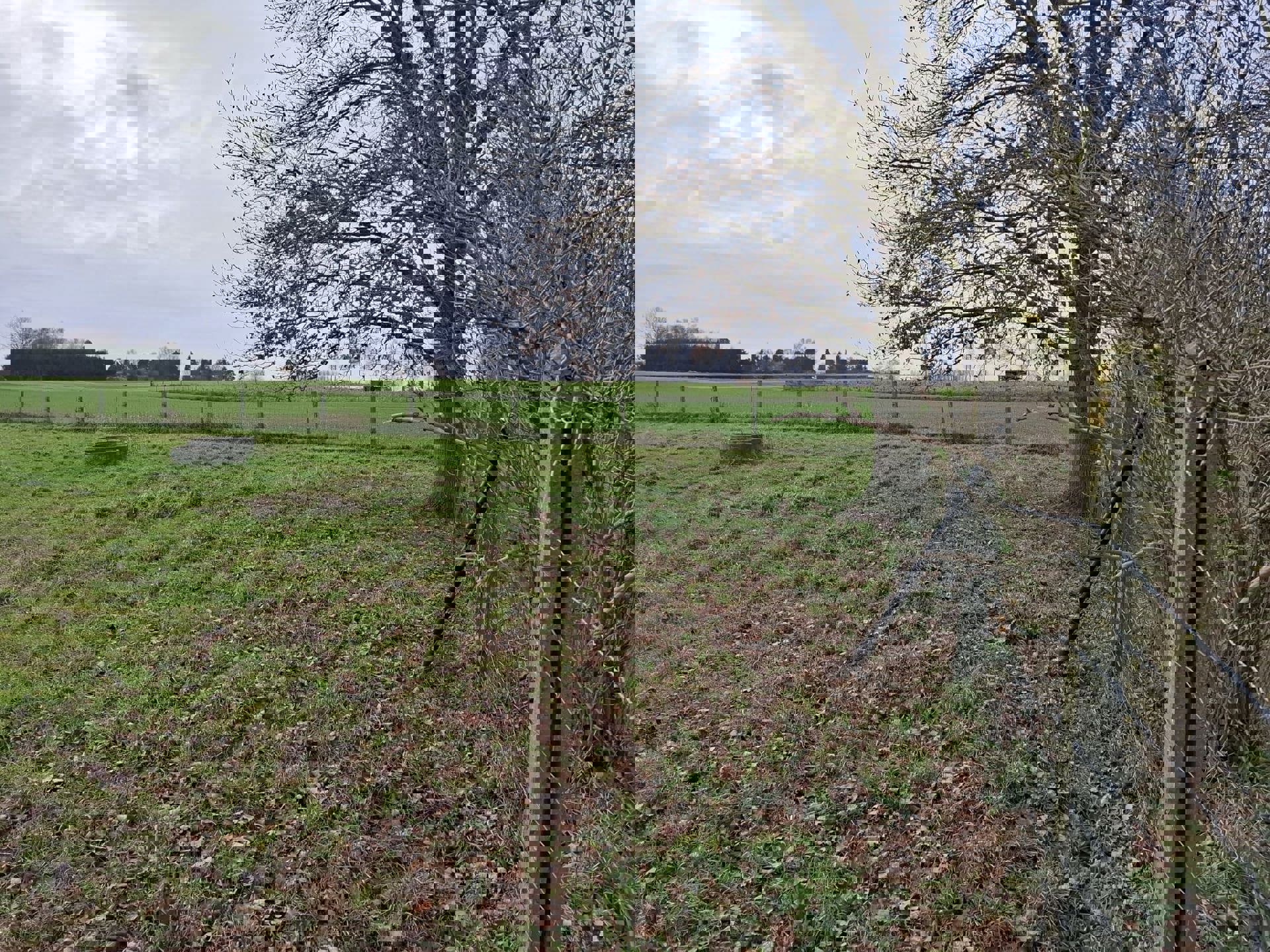 DENDERHOUTEM– Perceel weiland van 29a 50ca foto 7